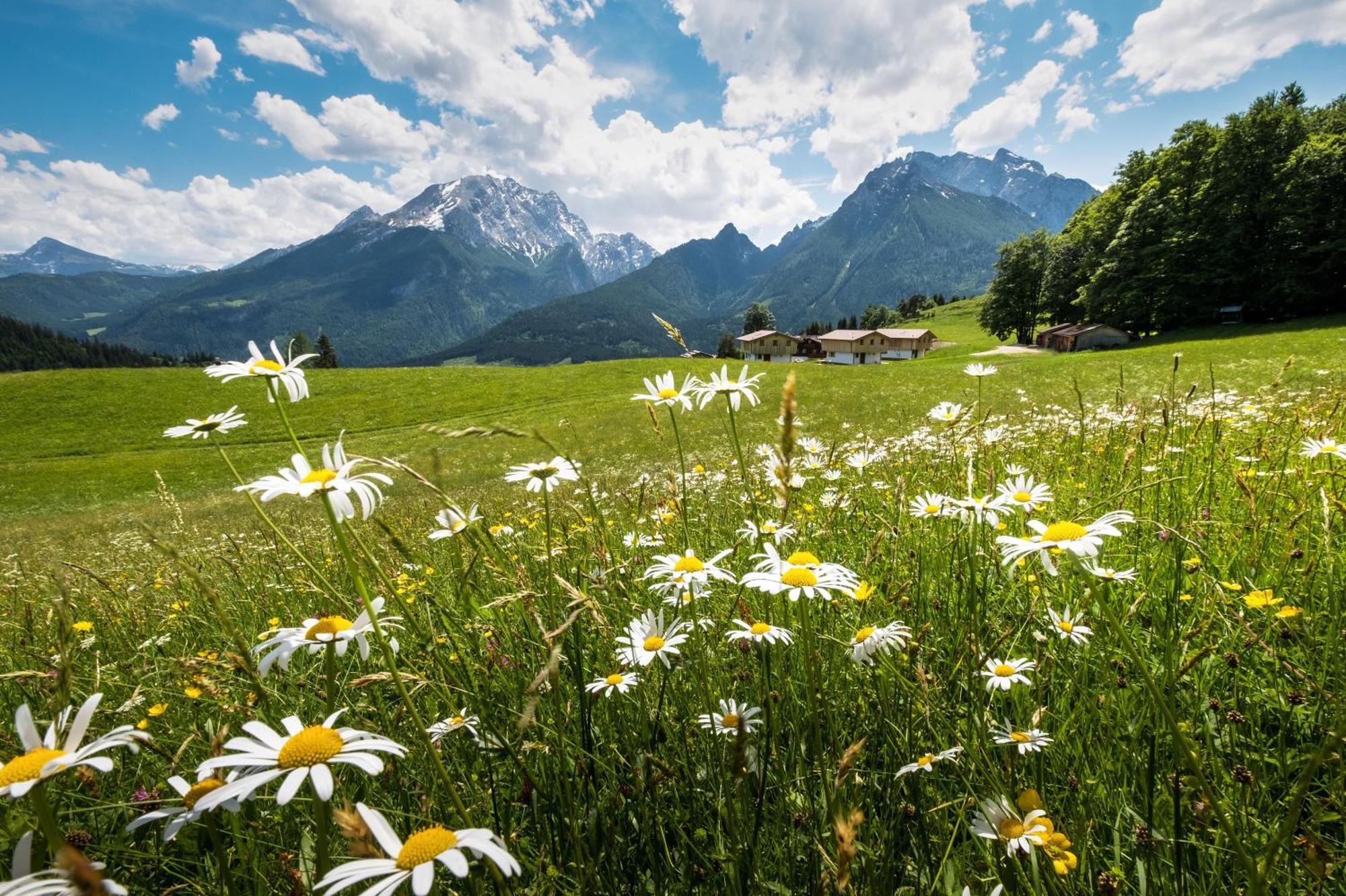 Ettlerlehen Chalets Ramsau bei Berchtesgaden Exteriör bild